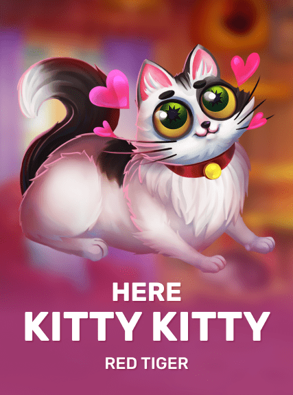 Here Kitty Kitty
