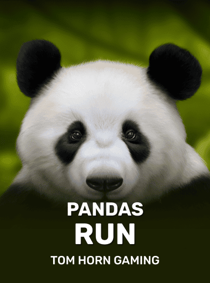 Panda's Run