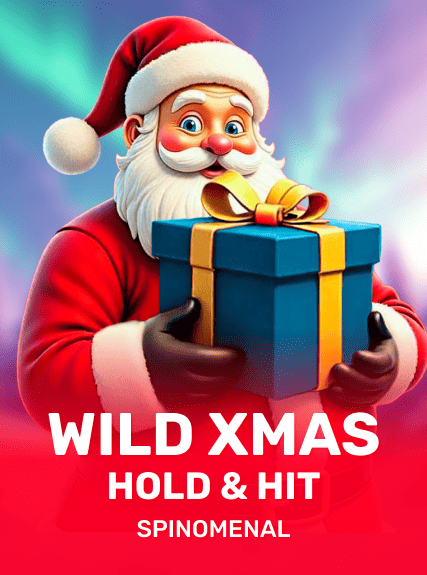 Wild Xmas - Hold & Hit