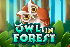 KAGaming | Owl In Forest Mobile